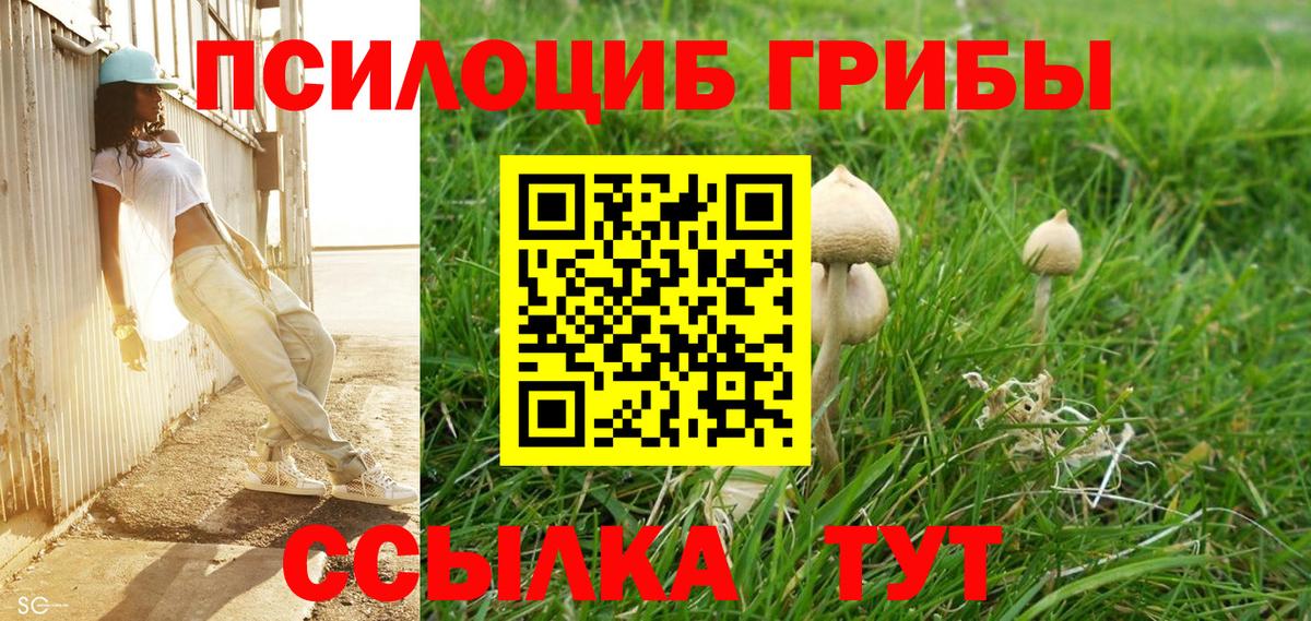 Галлюциногенные грибы прущие грибы Каменск-Шахтинский